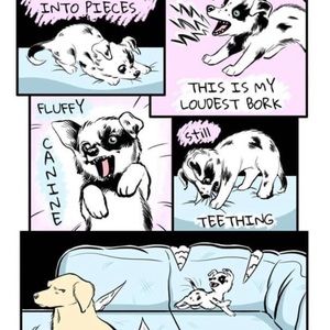 Meet your Posher, Candice